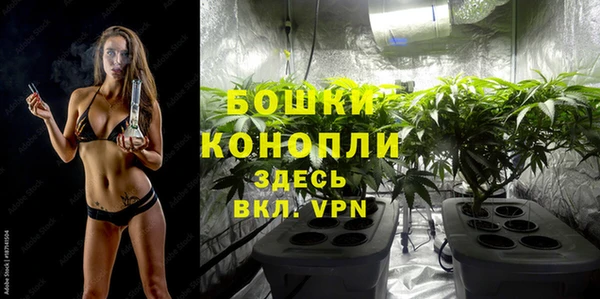 дмт Кинешма