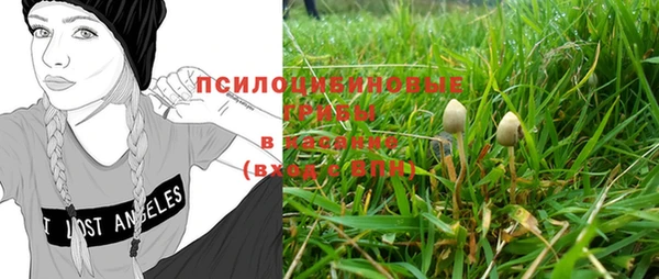 дмт Кинешма