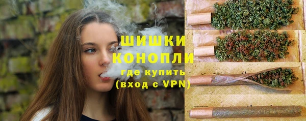 дмт Кинешма